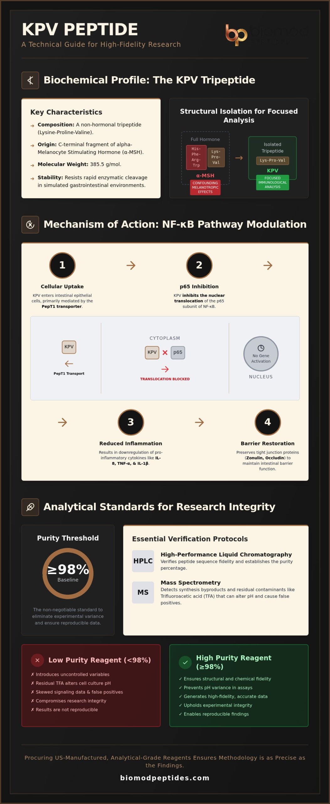 KPV Peptide in Gut Health Research Molecular Mechanisms and Analytical Standards - Infographic - Biomod Peptides KPV Peptide in Gut Health Research: Molecular Mechanisms and Analytical Standards